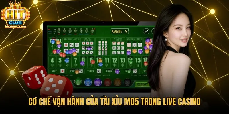 co-che-van-hanh-cua-tai-xiu-md5-trong-live-casino Quy trình niêm phong kết quả tài xỉu MD5 minh bạch